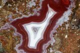 Polished, Vibrant, Banded Agate - Kerrouchen, Morocco #326534-1